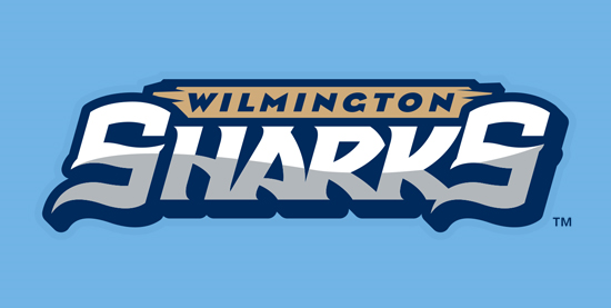 Wilmington Sharks 2014-Pres Wordmark Logo iron on transfers for T-shirts